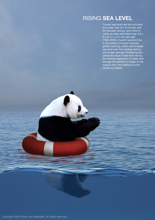 Global Warming Posters (22)