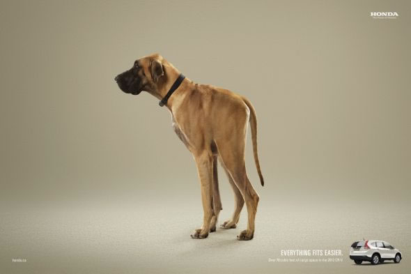 Creative Advertisements (42)