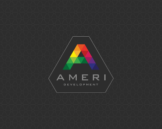 AMERI 1